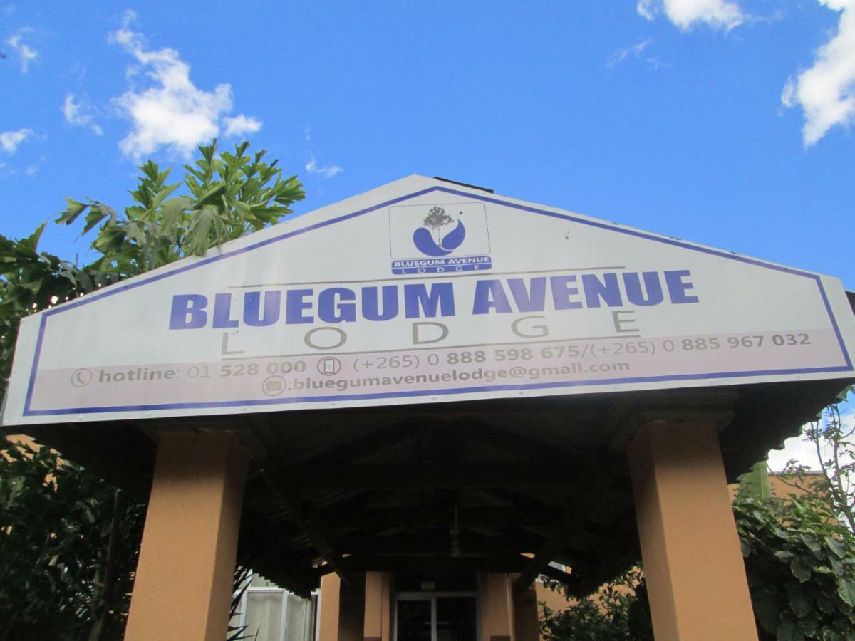Bluegum Avenue Lodge Zomba 外观 照片